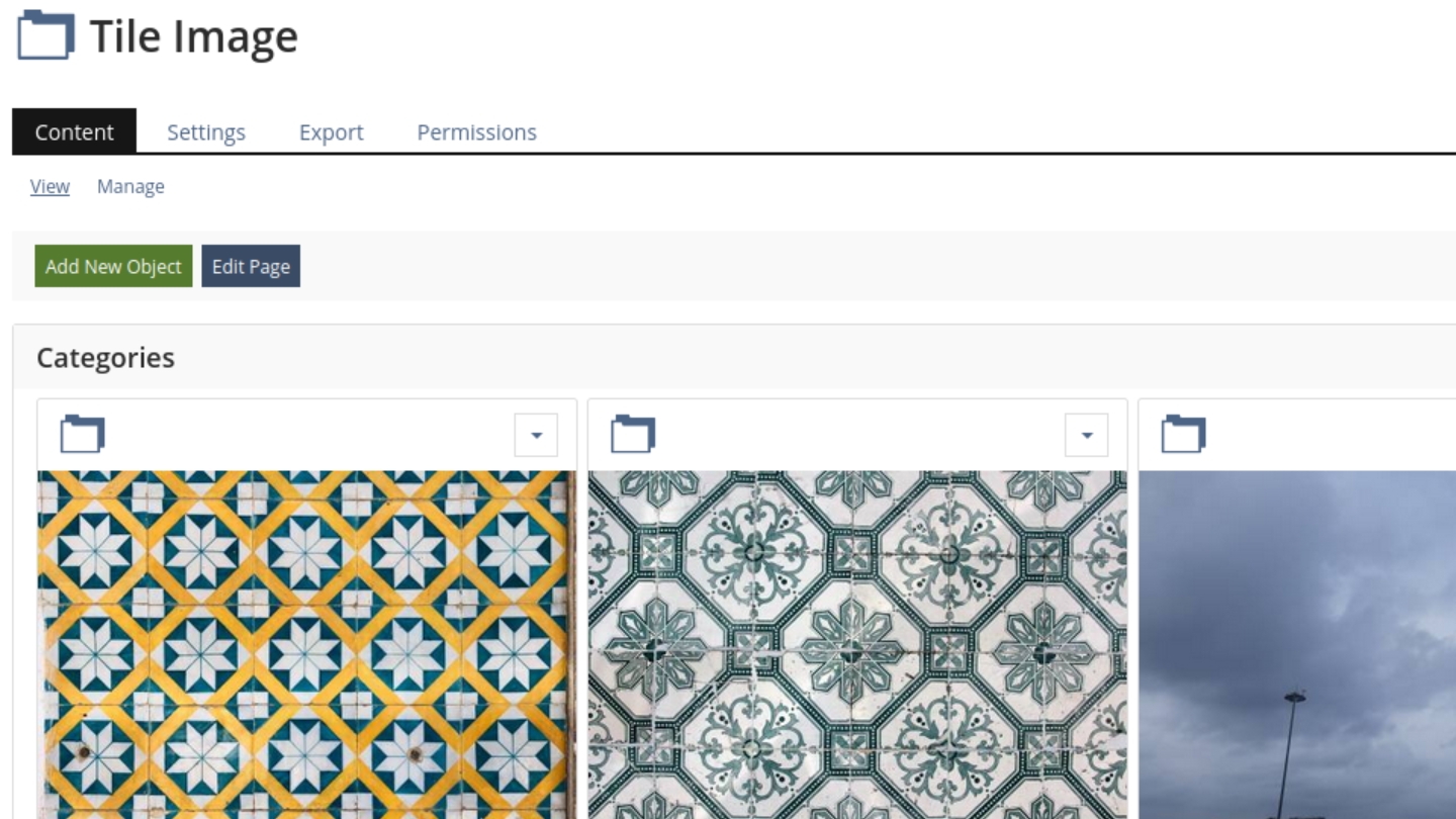 Shows the "Add New Object" primary button on the view tab of a catgory.