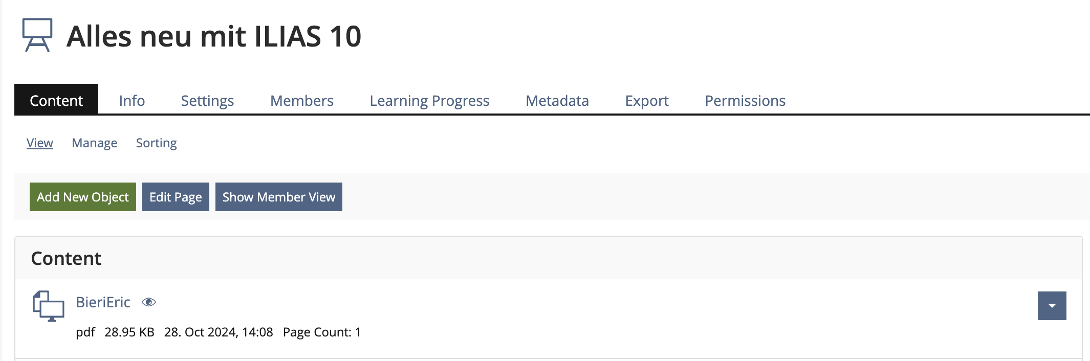 View of View Subtab with all action buttons