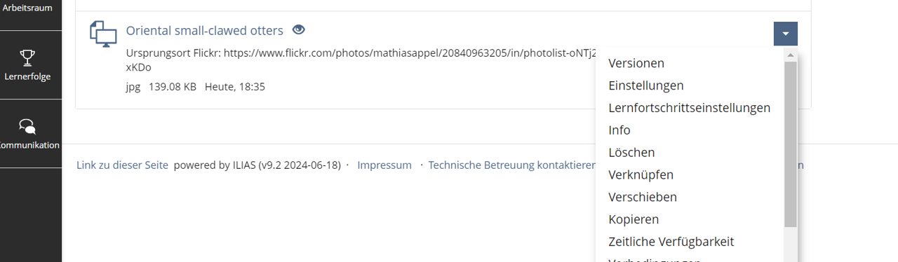 Darstellung einer hochgeladenen Datei (jpg) als Icon mit Beschriftung wie Titel, Ursprungsort und Dateigröße. Daneben ausgeklapptes  ▼-Menü (Pfeil-Menü). Hier sind Einträge aufgelistet wie "Versionen, Einstellungen, Info, Löschen" etc.