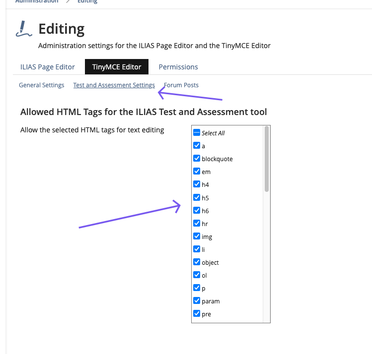 Screenshot of the administration node of the TinyMCE Editor and in particular, the part "Test and Assessment Settings" to show that this part will be removed.