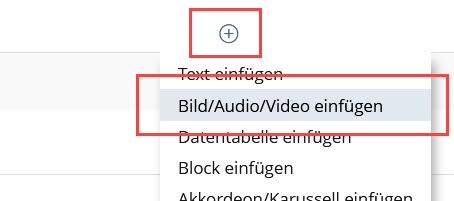 Auswahlmenü Bild/Audio/Video in ILIAS 9.3