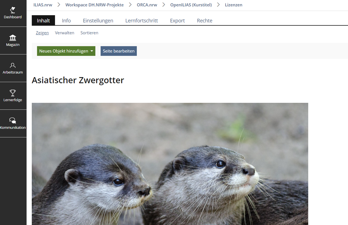 Links Hauptmenü, in der Mitte Funktionsleiste mit der grünen Schaltfläche „Neues Objekt hinzufügen“ und „Seite bearbeiten“, darunter Titel „Asiatischer Zwergotter“, darunter Bild mit zwei nach rechts schauenden asiatischen Zwergottern.